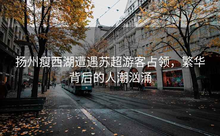 揚(yáng)州瘦西湖遭遇蘇超游客占領(lǐng)，繁華背后的人潮洶涌