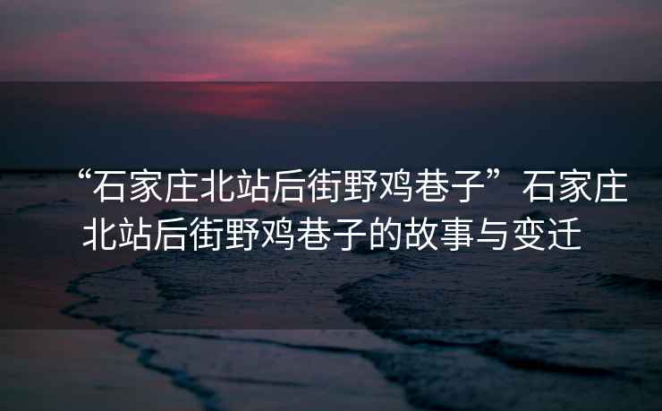 “石家莊北站后街野雞巷子”石家莊北站后街野雞巷子的故事與變遷