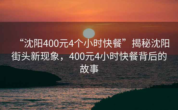 “沈陽400元4個小時快餐”揭秘沈陽街頭新現(xiàn)象，400元4小時快餐背后的故事