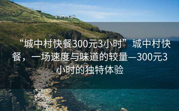 “城中村快餐300元3小時”城中村快餐，一場速度與味道的較量—300元3小時的獨特體驗