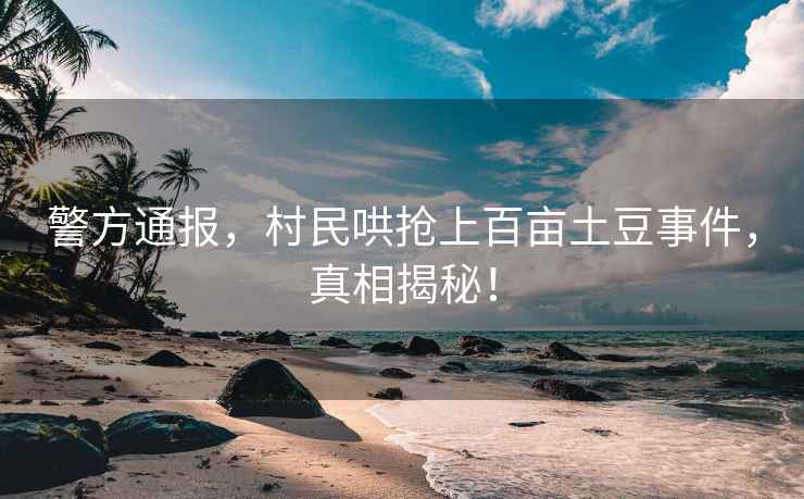 警方通報(bào)，村民哄搶上百畝土豆事件，真相揭秘！