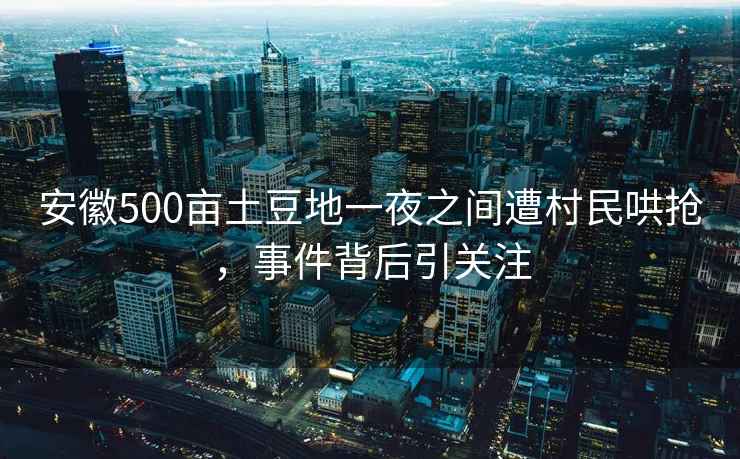 安徽500畝土豆地一夜之間遭村民哄搶，事件背后引關(guān)注