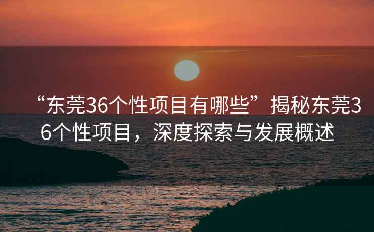 “東莞36個性項目有哪些”揭秘東莞36個性項目，深度探索與發(fā)展概述