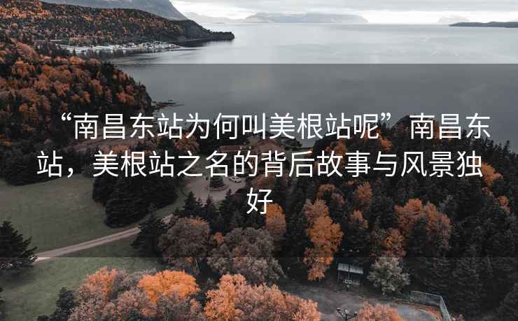 “南昌東站為何叫美根站呢”南昌東站，美根站之名的背后故事與風景獨好