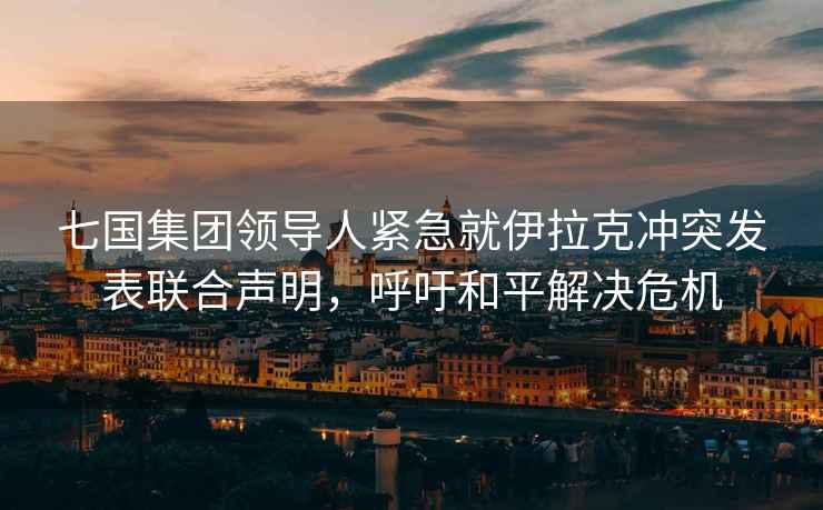 七國集團(tuán)領(lǐng)導(dǎo)人緊急就伊拉克沖突發(fā)表聯(lián)合聲明，呼吁和平解決危機(jī)