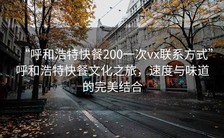 “呼和浩特快餐200一次vx聯(lián)系方式”呼和浩特快餐文化之旅，速度與味道的完美結(jié)合