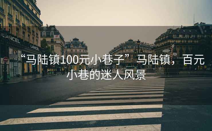 “馬陸鎮(zhèn)100元小巷子”馬陸鎮(zhèn)，百元小巷的迷人風景