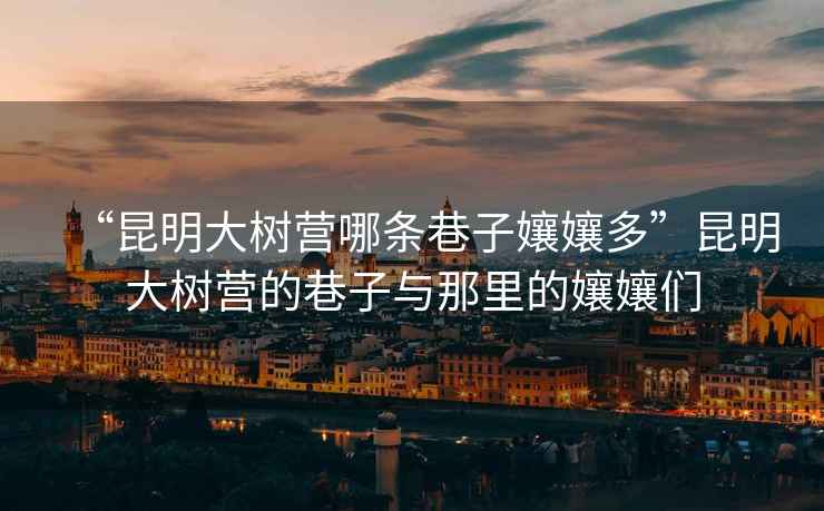 “昆明大樹營(yíng)哪條巷子?jì)鷭唷崩ッ鞔髽錉I(yíng)的巷子與那里的孃孃們
