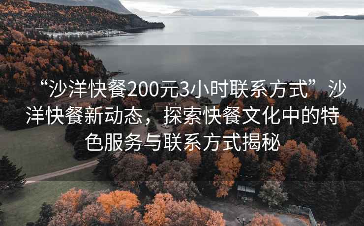“沙洋快餐200元3小時聯(lián)系方式”沙洋快餐新動態(tài)，探索快餐文化中的特色服務(wù)與聯(lián)系方式揭秘
