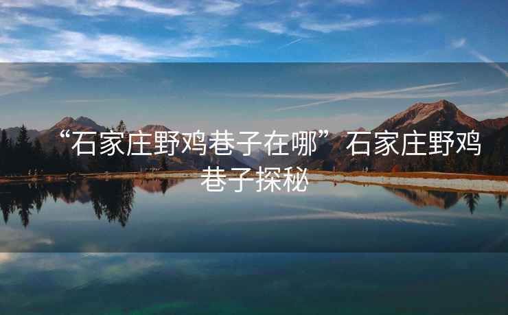 “石家莊野雞巷子在哪”石家莊野雞巷子探秘