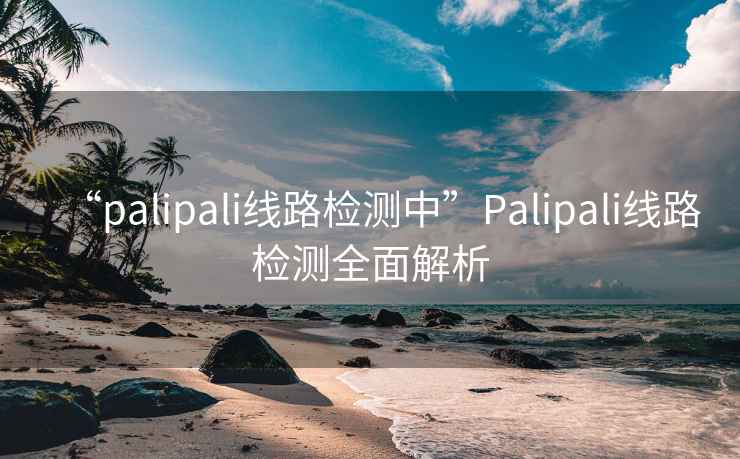 “palipali線路檢測(cè)中”Palipali線路檢測(cè)全面解析