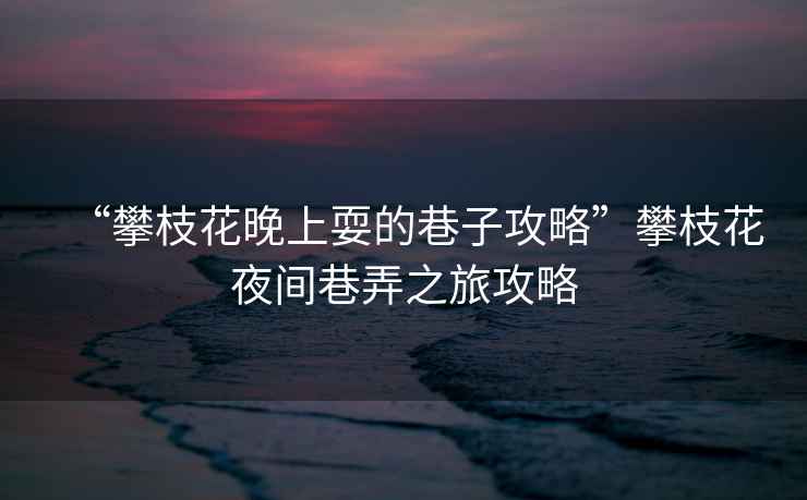 “攀枝花晚上耍的巷子攻略”攀枝花夜間巷弄之旅攻略