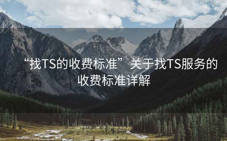 “找TS的收費(fèi)標(biāo)準(zhǔn)”關(guān)于找TS服務(wù)的收費(fèi)標(biāo)準(zhǔn)詳解