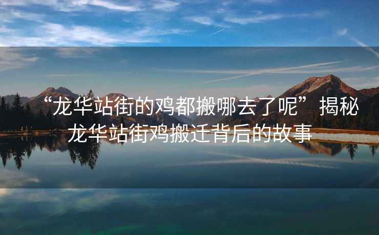 “龍華站街的雞都搬哪去了呢”揭秘龍華站街雞搬遷背后的故事