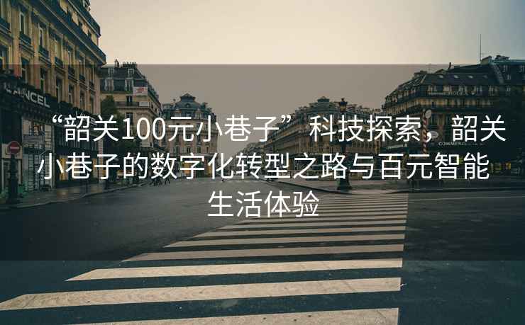 “韶關(guān)100元小巷子”科技探索，韶關(guān)小巷子的數(shù)字化轉(zhuǎn)型之路與百元智能生活體驗