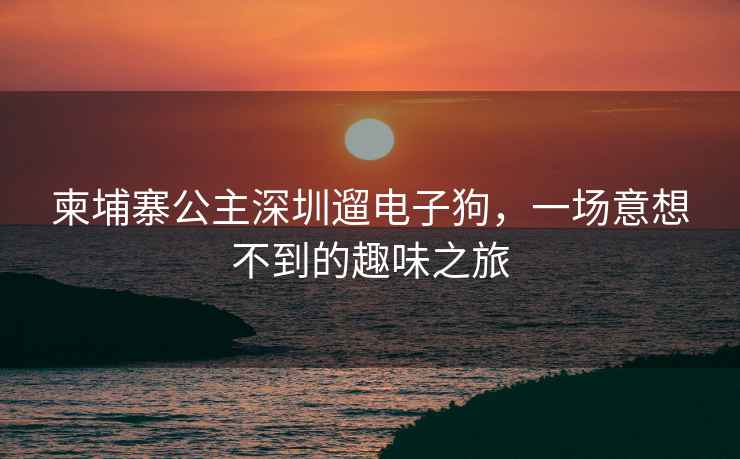 柬埔寨公主深圳遛電子狗，一場意想不到的趣味之旅