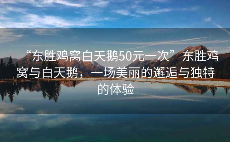 “東勝雞窩白天鵝50元一次”東勝雞窩與白天鵝，一場美麗的邂逅與獨(dú)特的體驗(yàn)