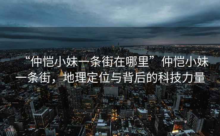 “仲愷小妹一條街在哪里”仲愷小妹一條街，地理定位與背后的科技力量