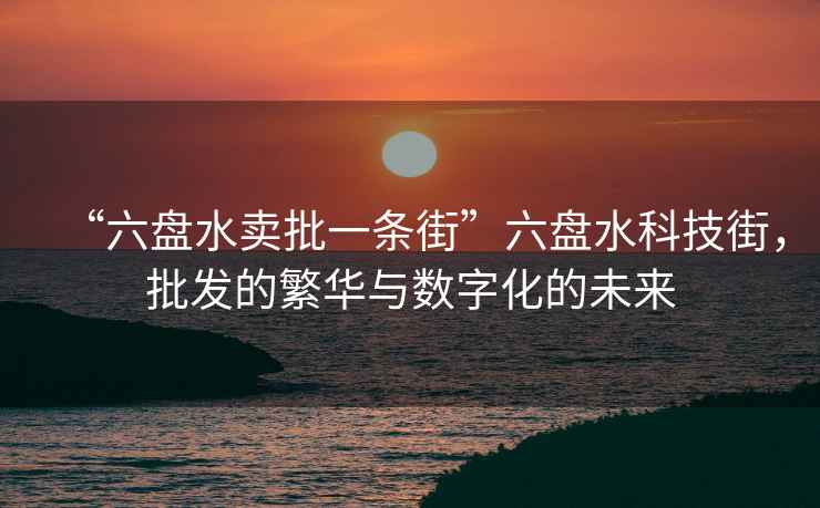 “六盤水賣批一條街”六盤水科技街，批發(fā)的繁華與數(shù)字化的未來