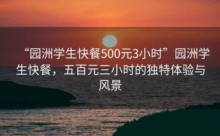 “園洲學(xué)生快餐500元3小時”園洲學(xué)生快餐，五百元三小時的獨特體驗與風(fēng)景