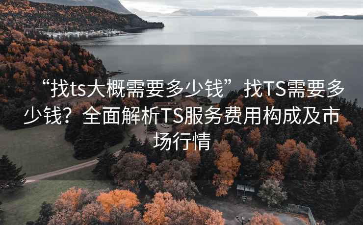 “找ts大概需要多少錢”找TS需要多少錢？全面解析TS服務(wù)費(fèi)用構(gòu)成及市場(chǎng)行情