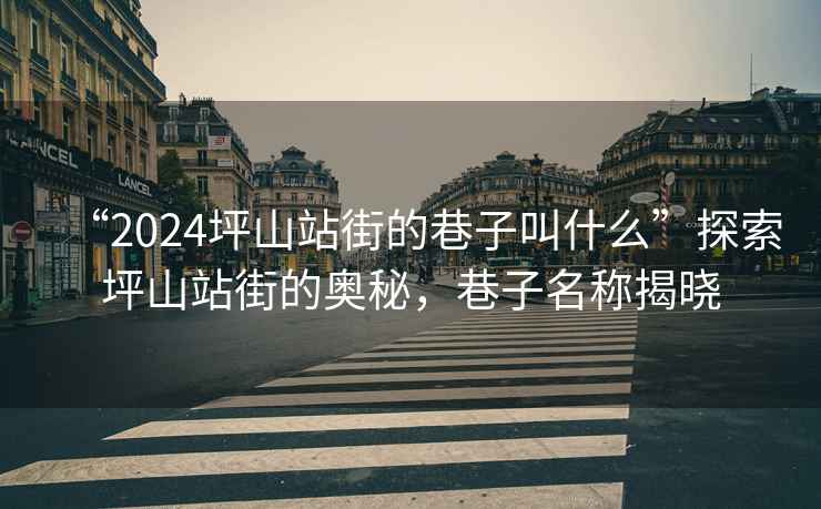 “2024坪山站街的巷子叫什么”探索坪山站街的奧秘，巷子名稱揭曉