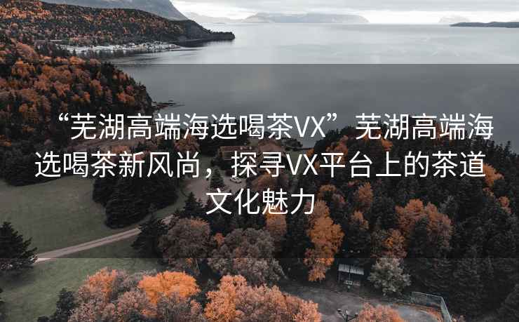 “蕪湖高端海選喝茶VX”蕪湖高端海選喝茶新風(fēng)尚，探尋VX平臺(tái)上的茶道文化魅力