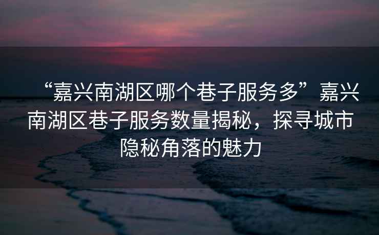 “嘉興南湖區(qū)哪個(gè)巷子服務(wù)多”嘉興南湖區(qū)巷子服務(wù)數(shù)量揭秘，探尋城市隱秘角落的魅力