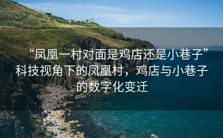 “鳳凰一村對面是雞店還是小巷子”科技視角下的鳳凰村，雞店與小巷子的數(shù)字化變遷