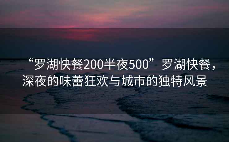 “羅湖快餐200半夜500”羅湖快餐，深夜的味蕾狂歡與城市的獨特風景