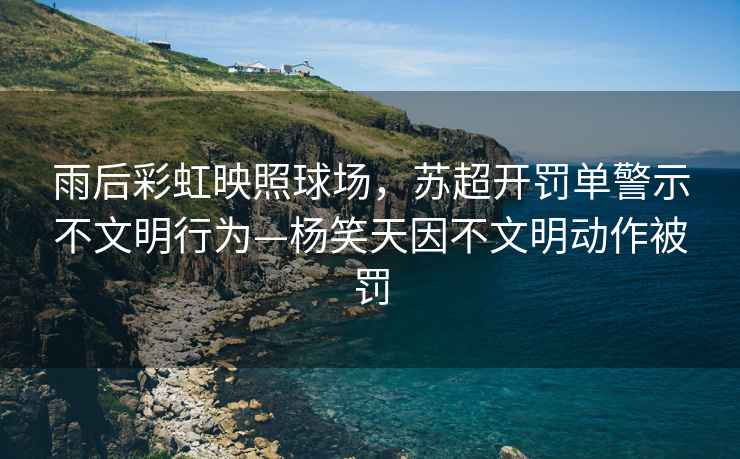 雨后彩虹映照球場，蘇超開罰單警示不文明行為—楊笑天因不文明動作被罰