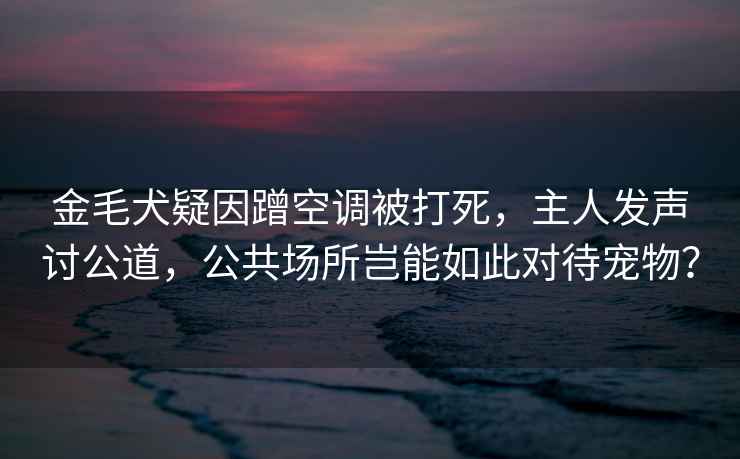 金毛犬疑因蹭空調(diào)被打死，主人發(fā)聲討公道，公共場所豈能如此對待寵物？