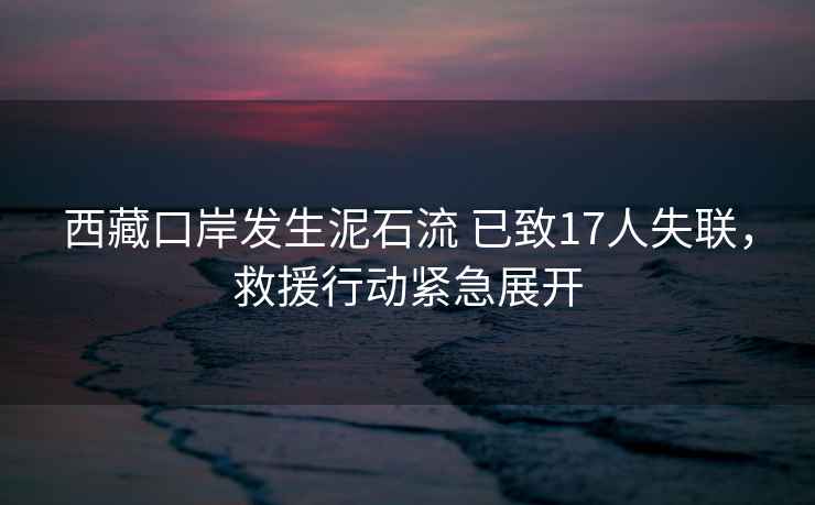 西藏口岸發(fā)生泥石流 已致17人失聯，救援行動緊急展開