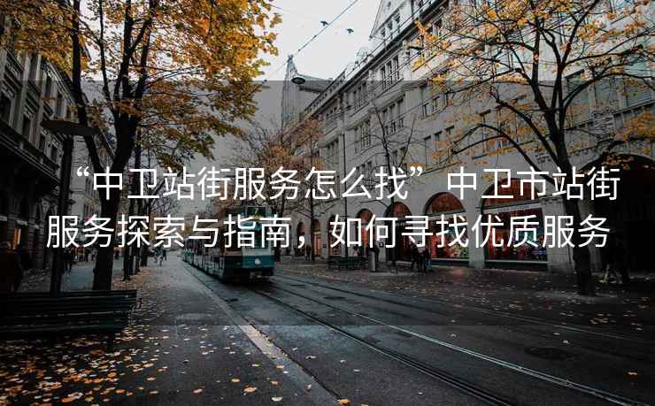 “中衛(wèi)站街服務怎么找”中衛(wèi)市站街服務探索與指南，如何尋找優(yōu)質(zhì)服務