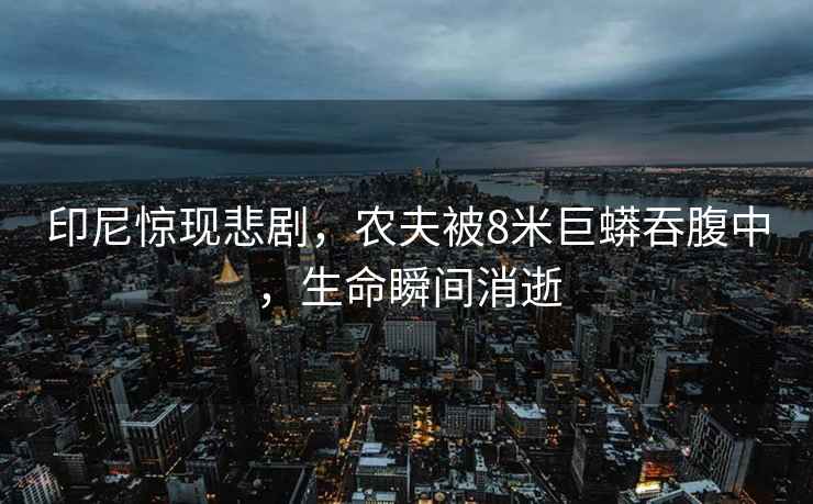 印尼驚現(xiàn)悲劇，農(nóng)夫被8米巨蟒吞腹中，生命瞬間消逝