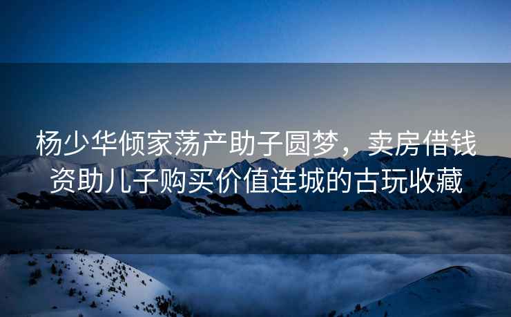 楊少華傾家蕩產(chǎn)助子圓夢，賣房借錢資助兒子購買價值連城的古玩收藏
