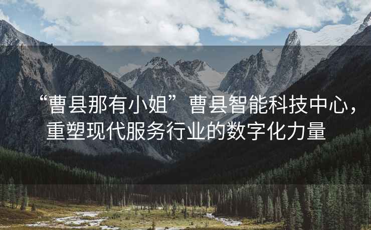 “曹縣那有小姐”曹縣智能科技中心，重塑現(xiàn)代服務(wù)行業(yè)的數(shù)字化力量