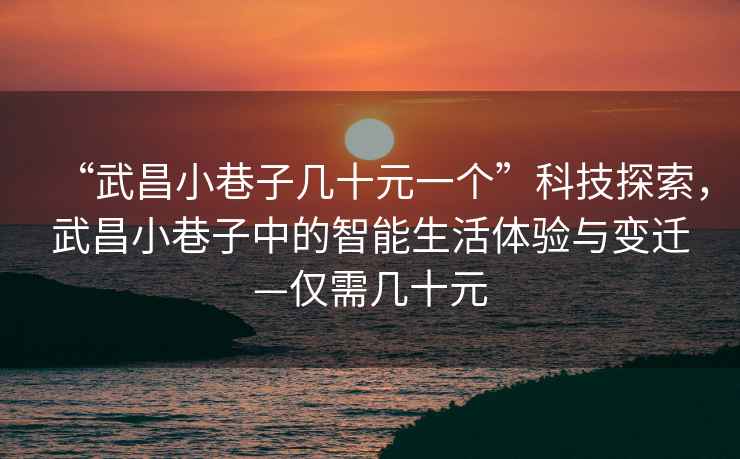 “武昌小巷子幾十元一個(gè)”科技探索，武昌小巷子中的智能生活體驗(yàn)與變遷—僅需幾十元