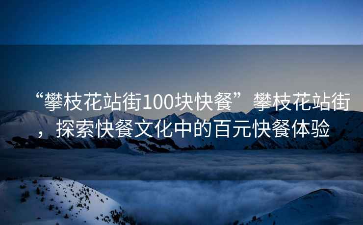 “攀枝花站街100塊快餐”攀枝花站街，探索快餐文化中的百元快餐體驗