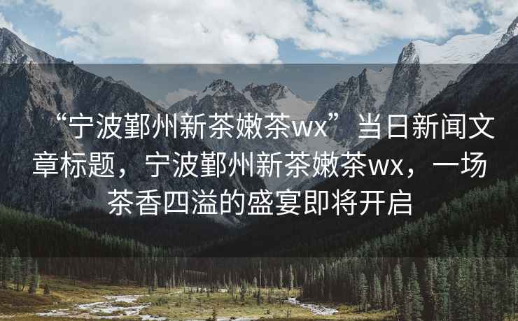 “寧波鄞州新茶嫩茶wx”當(dāng)日新聞文章標(biāo)題，寧波鄞州新茶嫩茶wx，一場茶香四溢的盛宴即將開啟