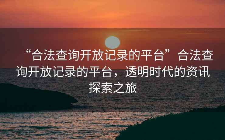 “合法查詢開放記錄的平臺”合法查詢開放記錄的平臺，透明時代的資訊探索之旅
