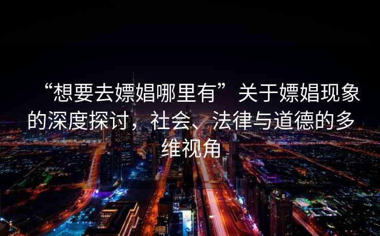 “想要去嫖娼哪里有”關(guān)于嫖娼現(xiàn)象的深度探討，社會、法律與道德的多維視角