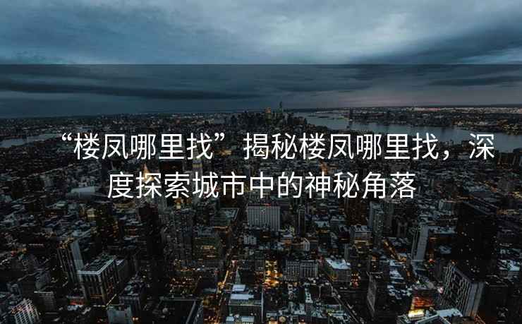“樓鳳哪里找”揭秘樓鳳哪里找，深度探索城市中的神秘角落
