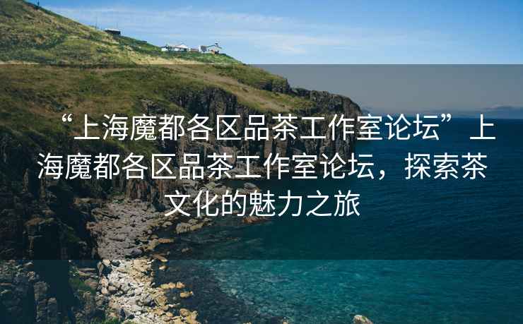 “上海魔都各區(qū)品茶工作室論壇”上海魔都各區(qū)品茶工作室論壇，探索茶文化的魅力之旅
