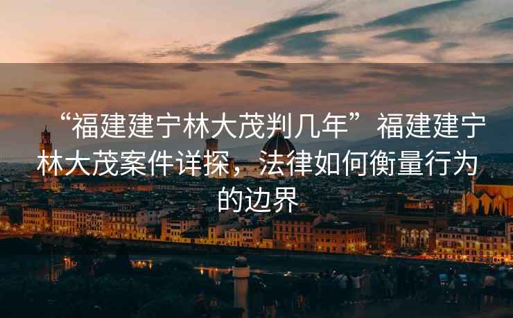 “福建建寧林大茂判幾年”福建建寧林大茂案件詳探，法律如何衡量行為的邊界