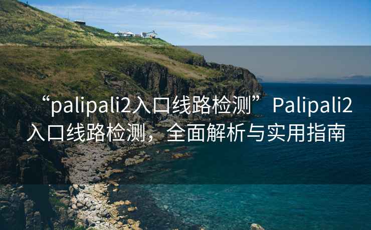“palipali2入口線路檢測(cè)”P(pán)alipali2入口線路檢測(cè)，全面解析與實(shí)用指南