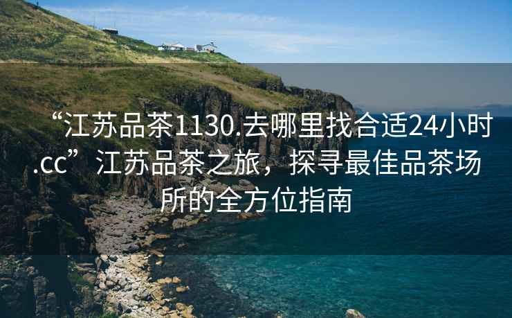 “江蘇品茶1130.去哪里找合適24小時.cc”江蘇品茶之旅，探尋最佳品茶場所的全方位指南