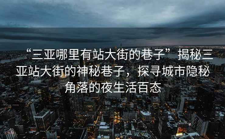 “三亞哪里有站大街的巷子”揭秘三亞站大街的神秘巷子，探尋城市隱秘角落的夜生活百態(tài)
