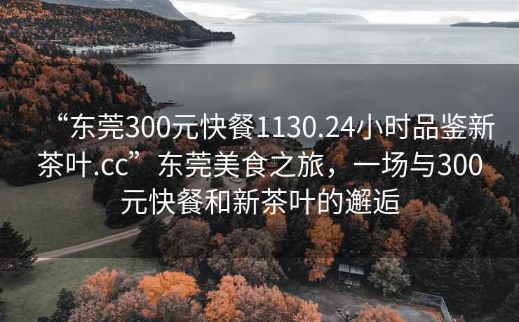 “東莞300元快餐1130.24小時(shí)品鑒新茶葉.cc”東莞美食之旅，一場(chǎng)與300元快餐和新茶葉的邂逅