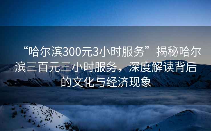 “哈爾濱300元3小時服務(wù)”揭秘哈爾濱三百元三小時服務(wù)，深度解讀背后的文化與經(jīng)濟現(xiàn)象